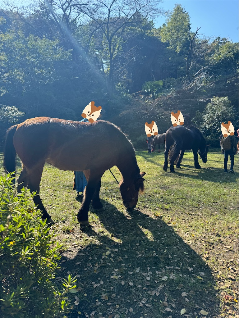 f:id:chankotochan:20241105084553j:image f:id:chankotochan:20241105084553j:image