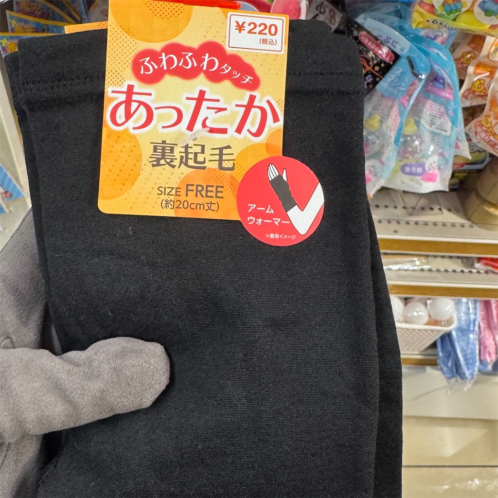 f:id:chankotochan:20241124000457j:image