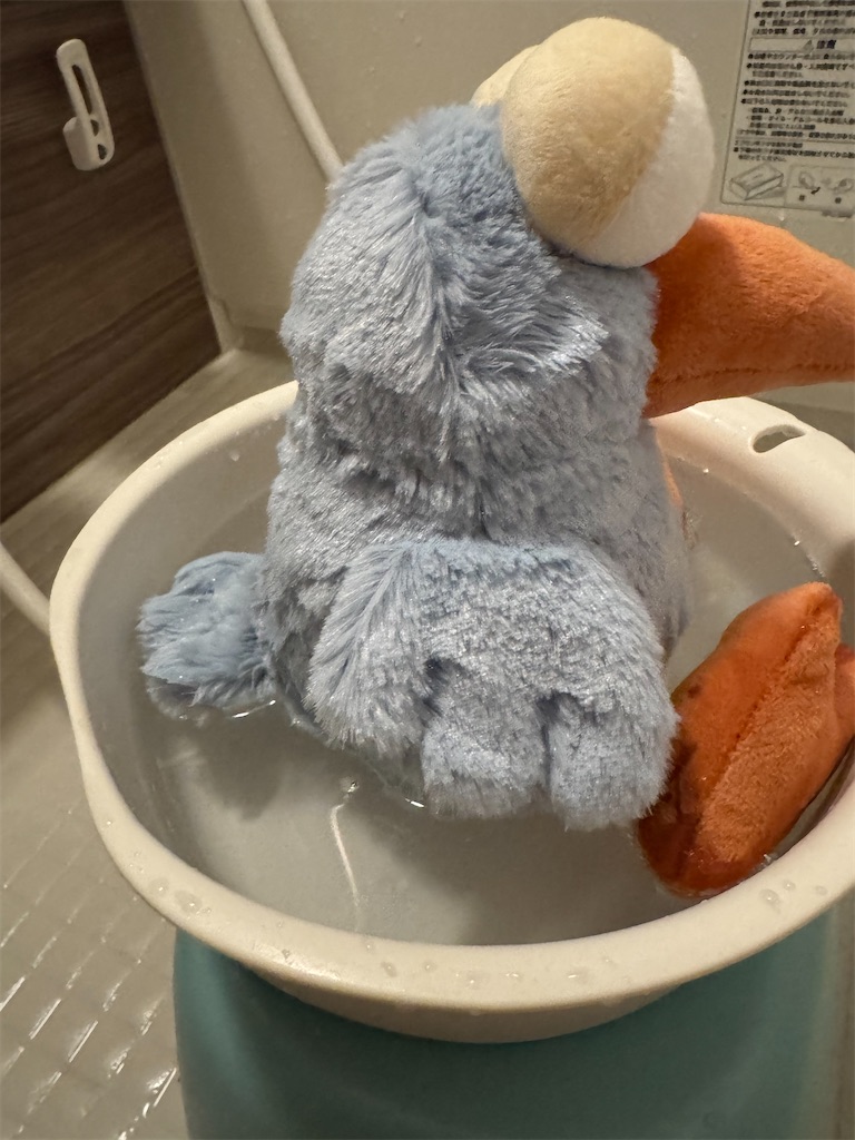 f:id:chankotochan:20250113105932j:image f:id:chankotochan:20250113105932j:image