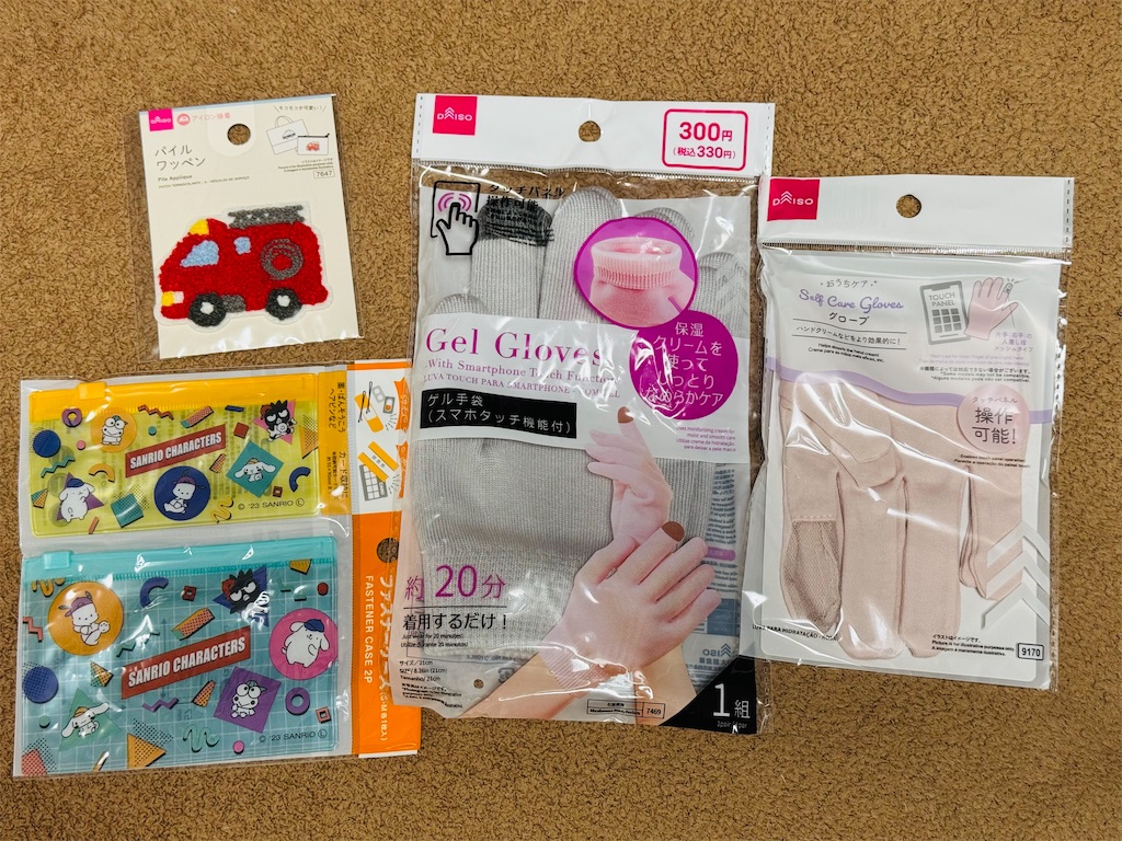 f:id:chankotochan:20250113122009j:image