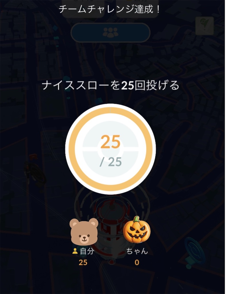 f:id:chankotochan:20250121084315j:image