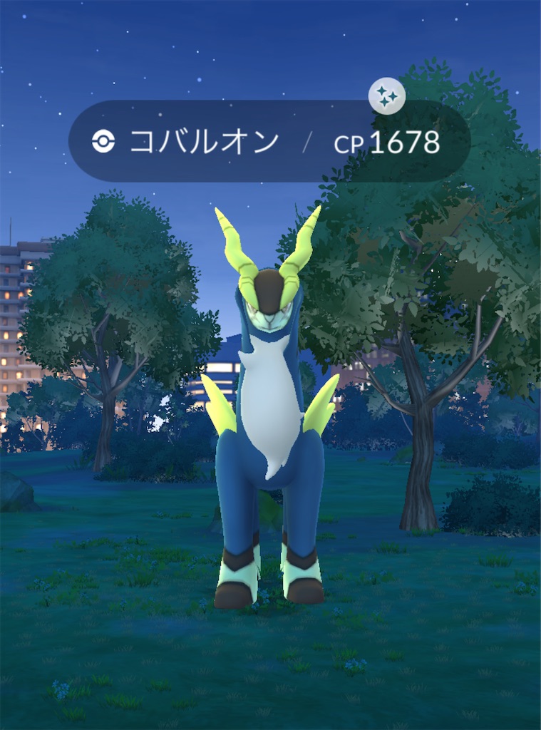 f:id:chankotochan:20250323212846j:image f:id:chankotochan:20250323212846j:image