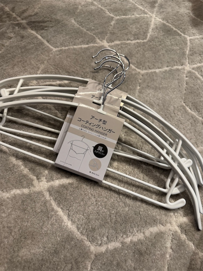 f:id:chankotochan:20250528224328j:image