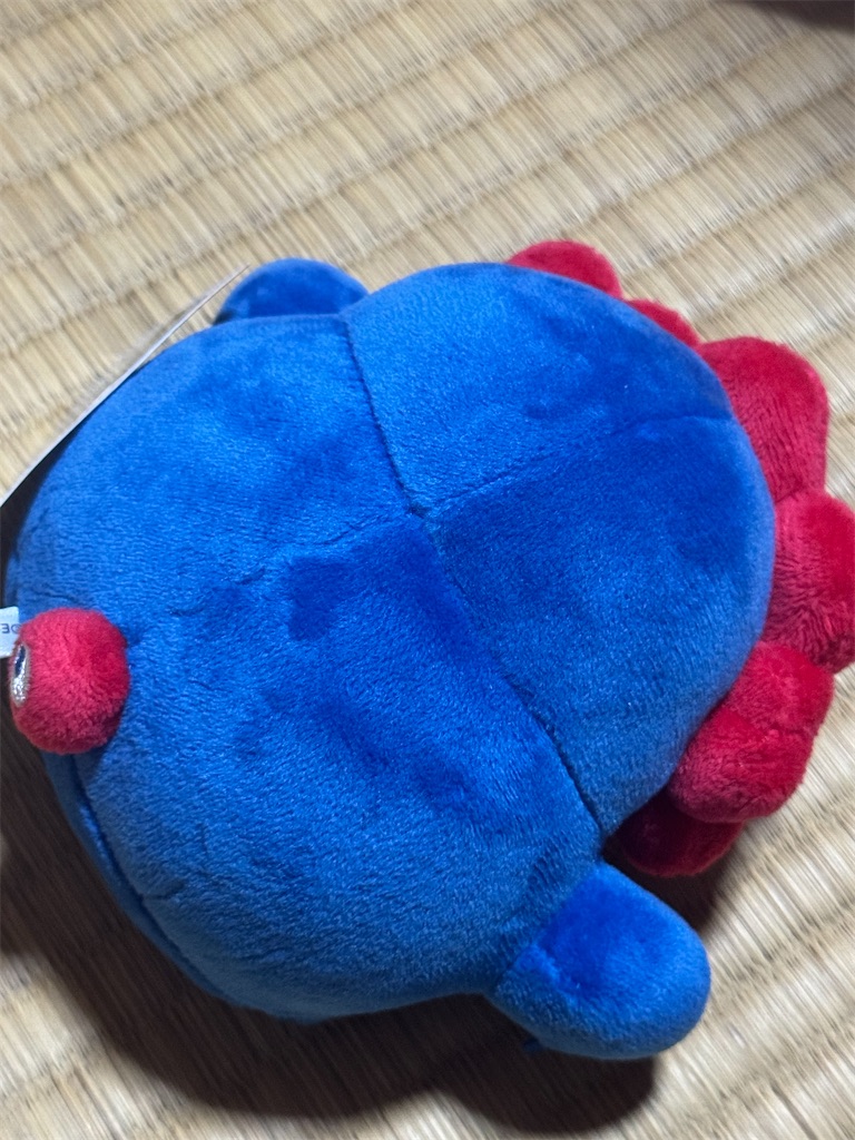 f:id:chankotochan:20250815103603j:image