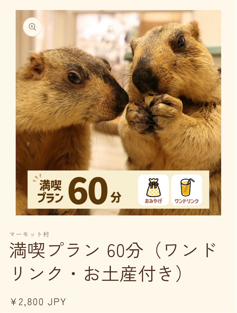 f:id:chankotochan:20250821232844j:image