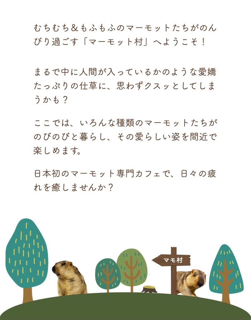 f:id:chankotochan:20250821233445j:image