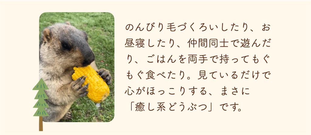 f:id:chankotochan:20250821233531j:image