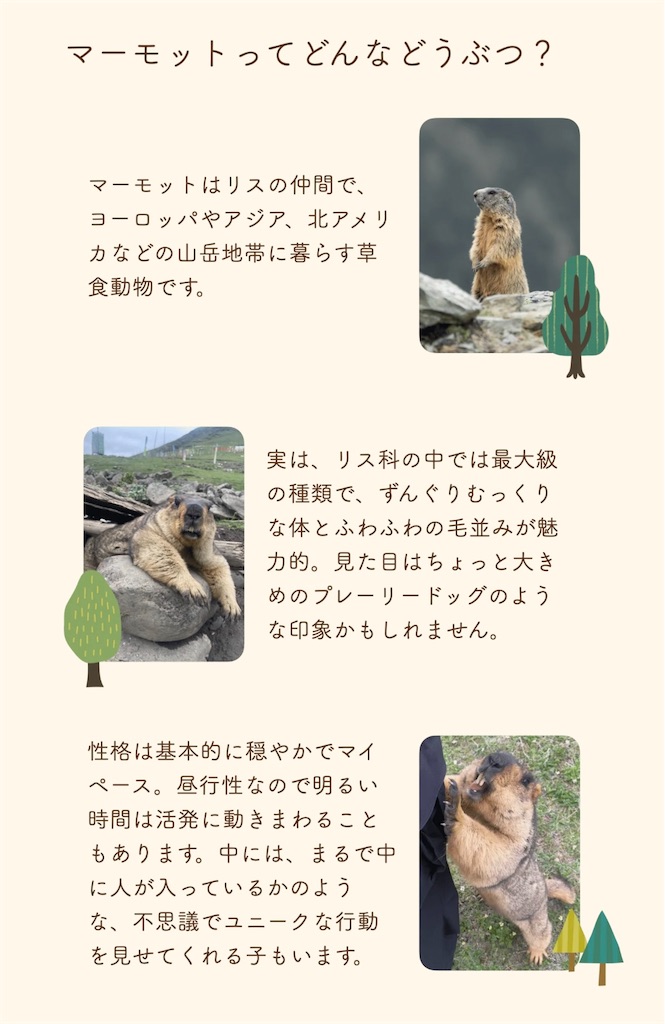 f:id:chankotochan:20250821233534j:image
