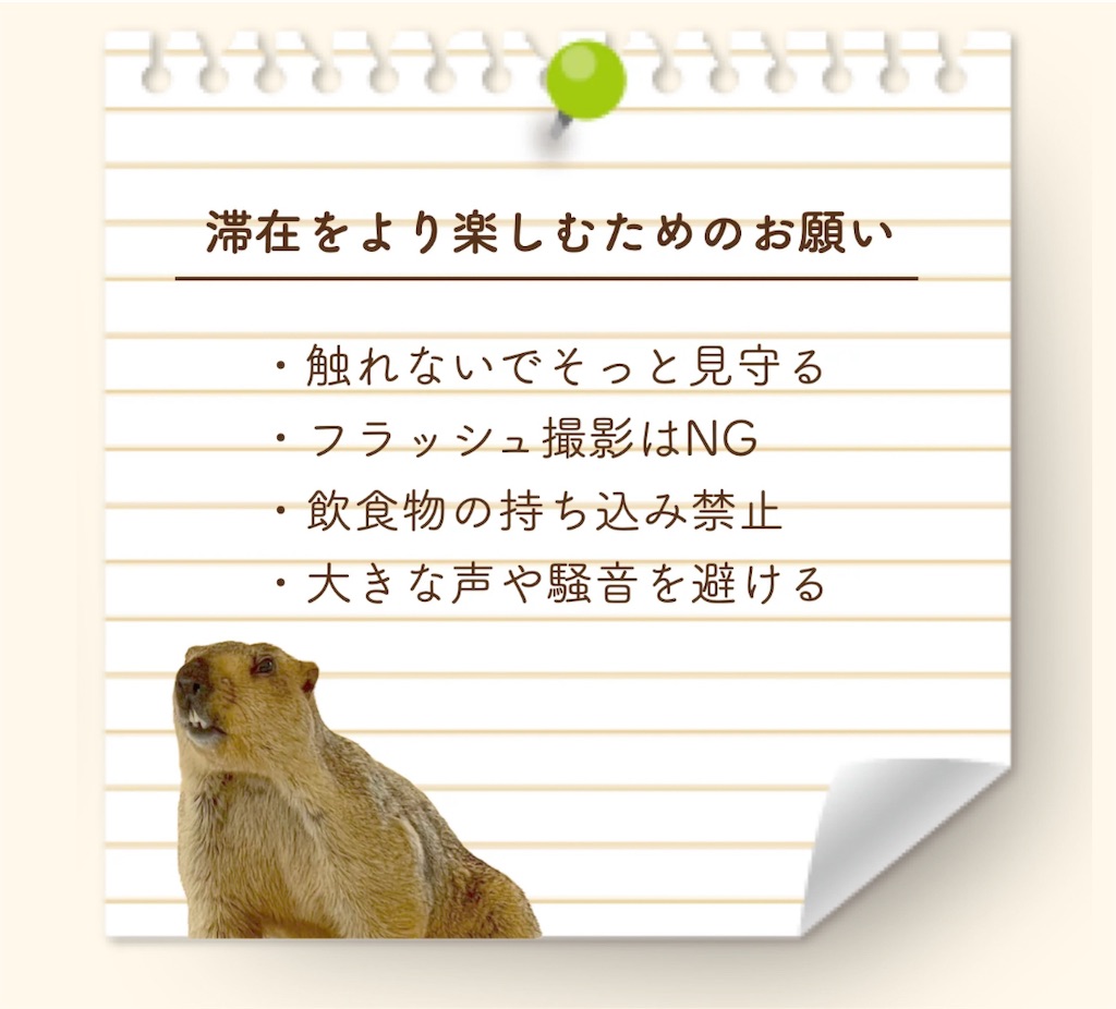 f:id:chankotochan:20250821234840j:image