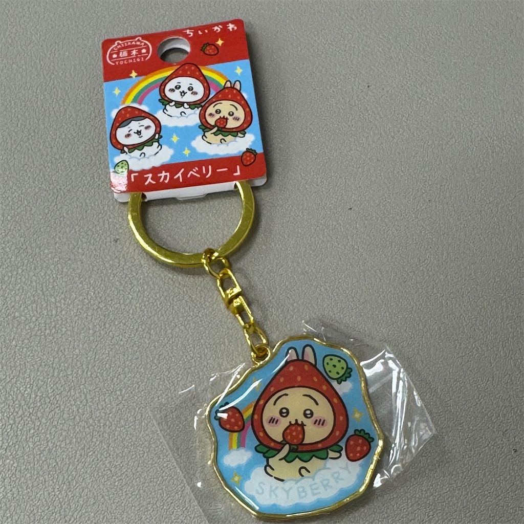 f:id:chankotochan:20250902105111j:image f:id:chankotochan:20250902105111j:image