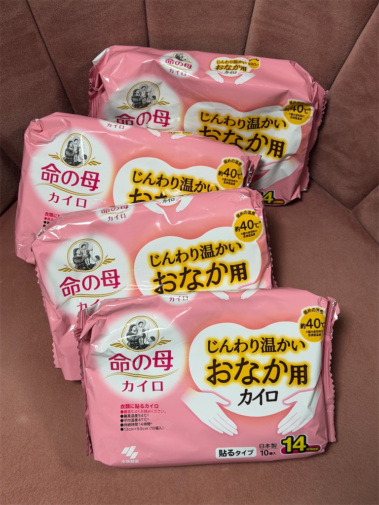 f:id:chankotochan:20251103172811j:image