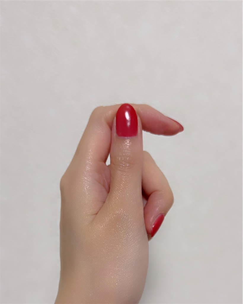 f:id:chankotochan:20251123232859j:image