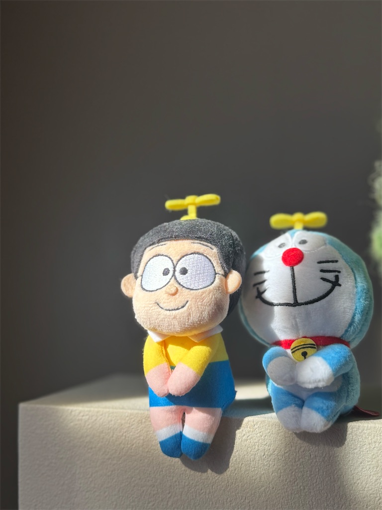 f:id:chankotochan:20251127085748j:image