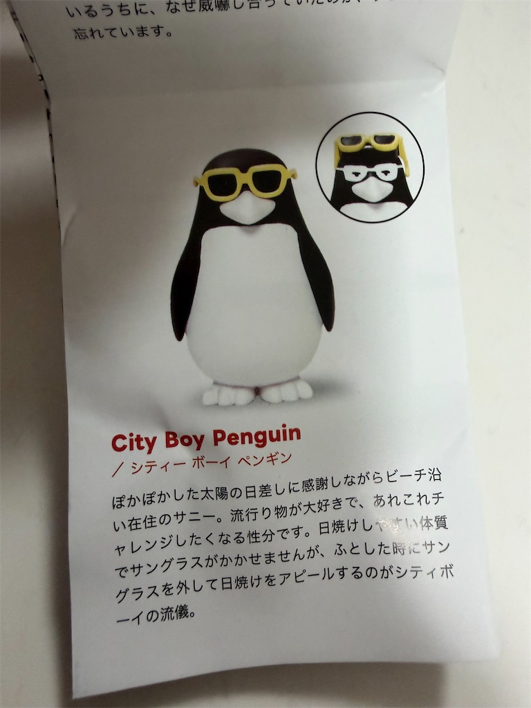 f:id:chankotochan:20260113055247j:image