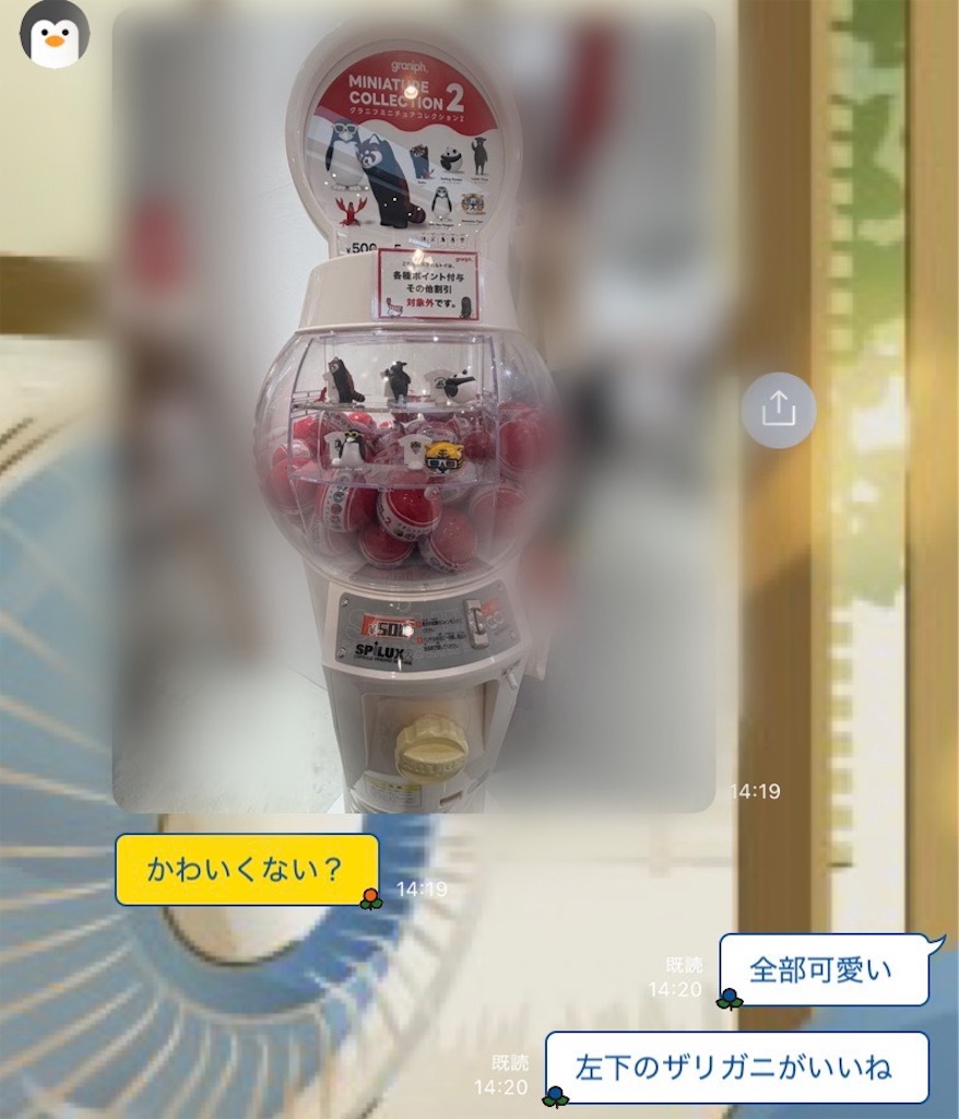 f:id:chankotochan:20260113055827j:image