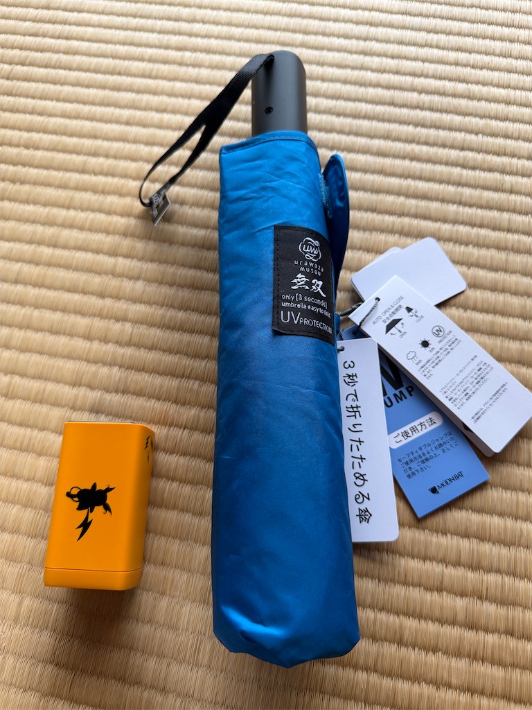 雨が嫌すぎて - 独身アラフォーOLの交換日記