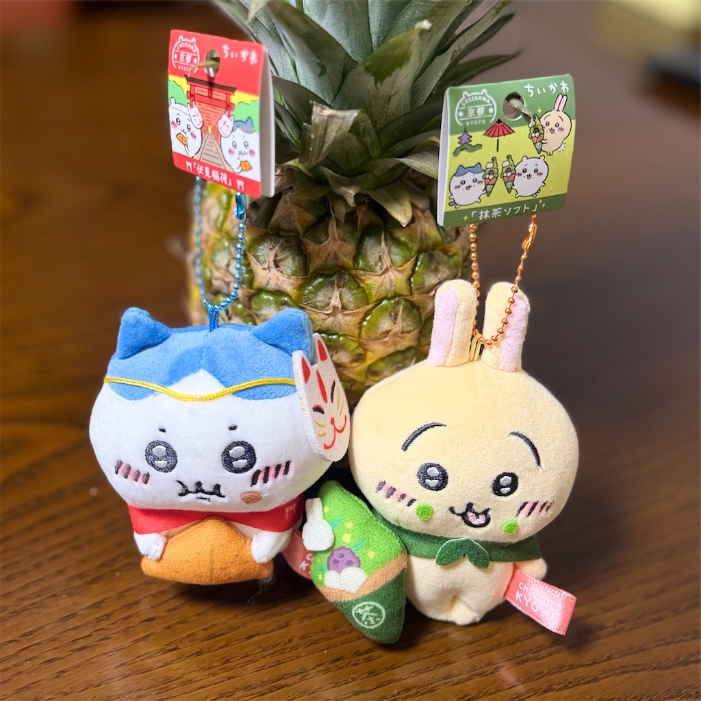 f:id:chankotochan:20260722085004j:image f:id:chankotochan:20260722085004j:image