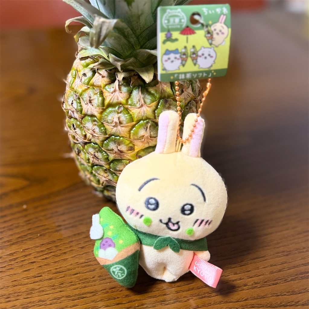f:id:chankotochan:20260722085023j:image f:id:chankotochan:20260722085023j:image