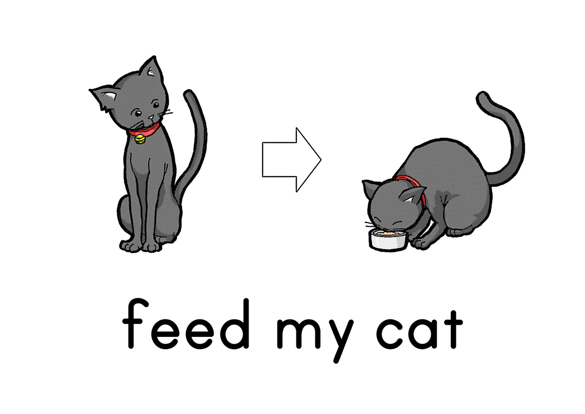 daily chore_feed my cat ピクチャーカードの箱