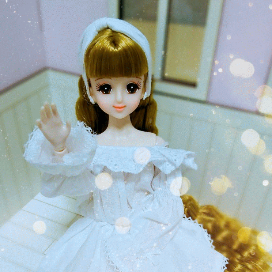 f:id:chanliccasama:20190125212031g:plain