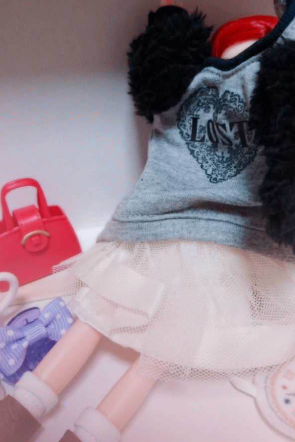 f:id:chanliccasama:20190125220521g:plain