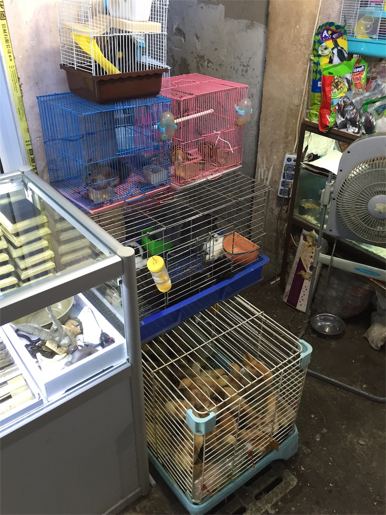 f:id:chanmanao:20160903015407j:image