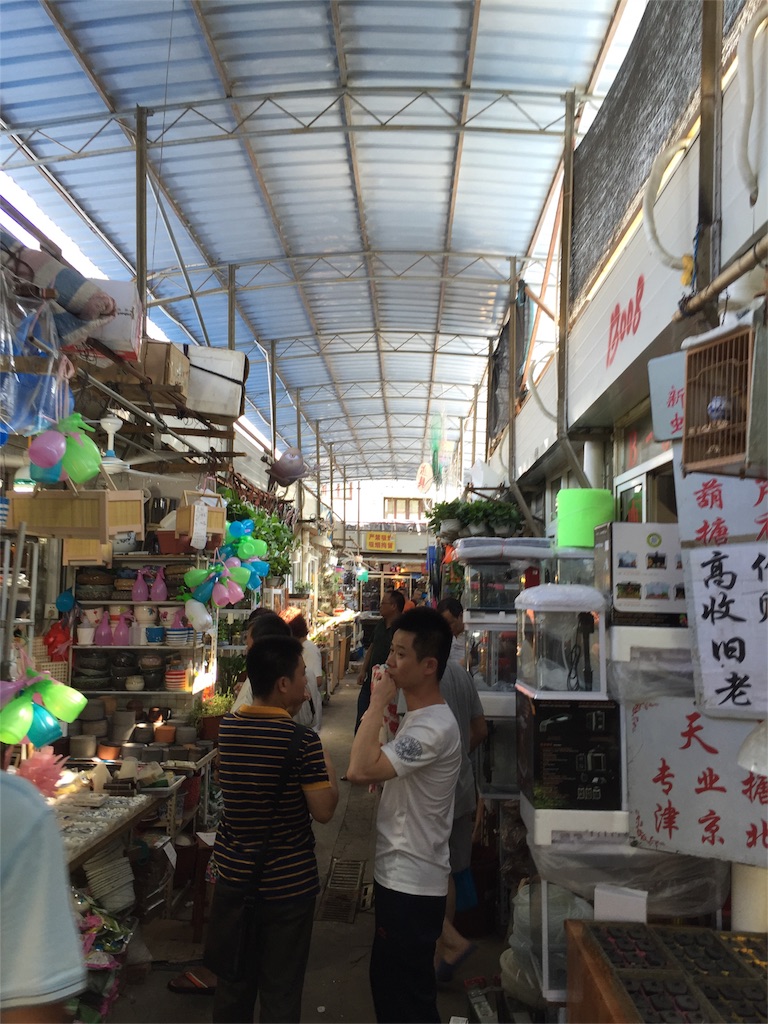 f:id:chanmanao:20160903015446j:image