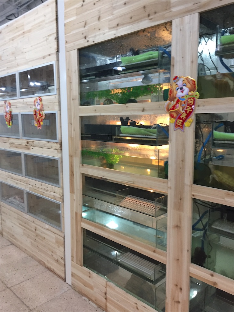 f:id:chanmanao:20180304011652j:image f:id:chanmanao:20180304011652j:image