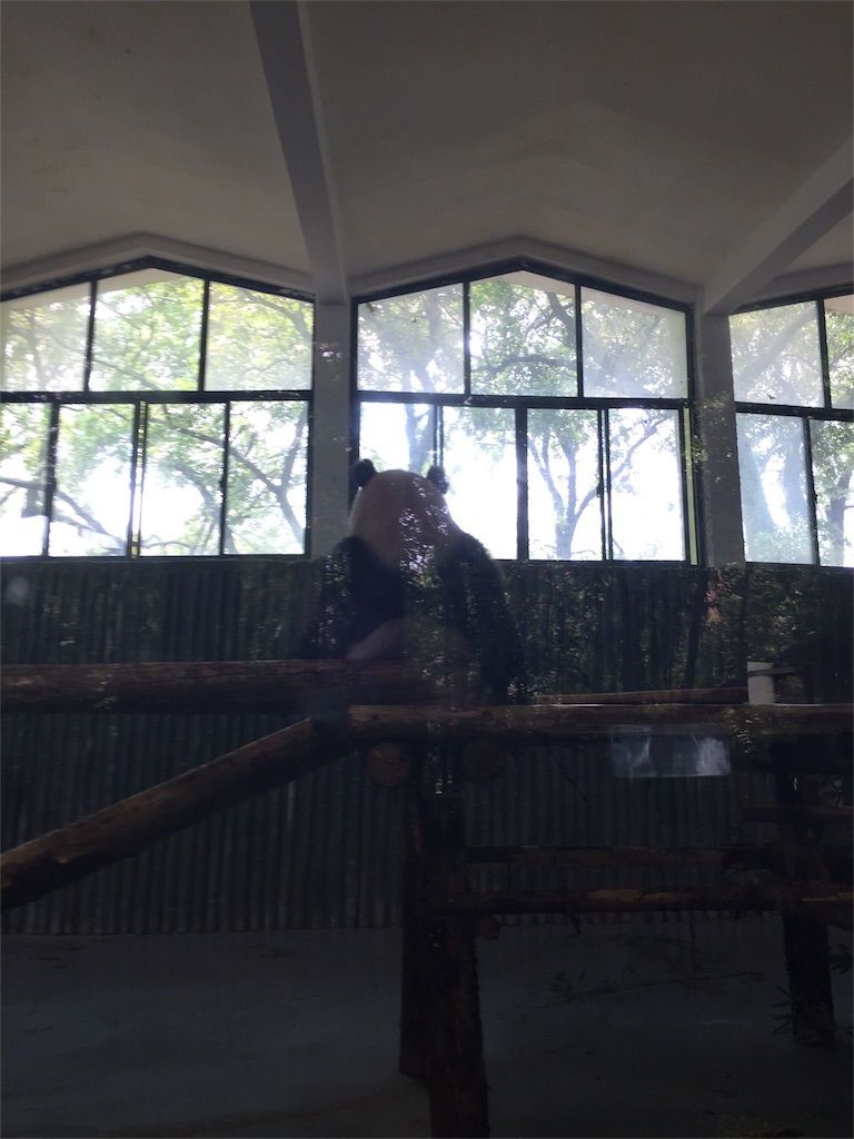 f:id:chanmanao:20180805000722j:image