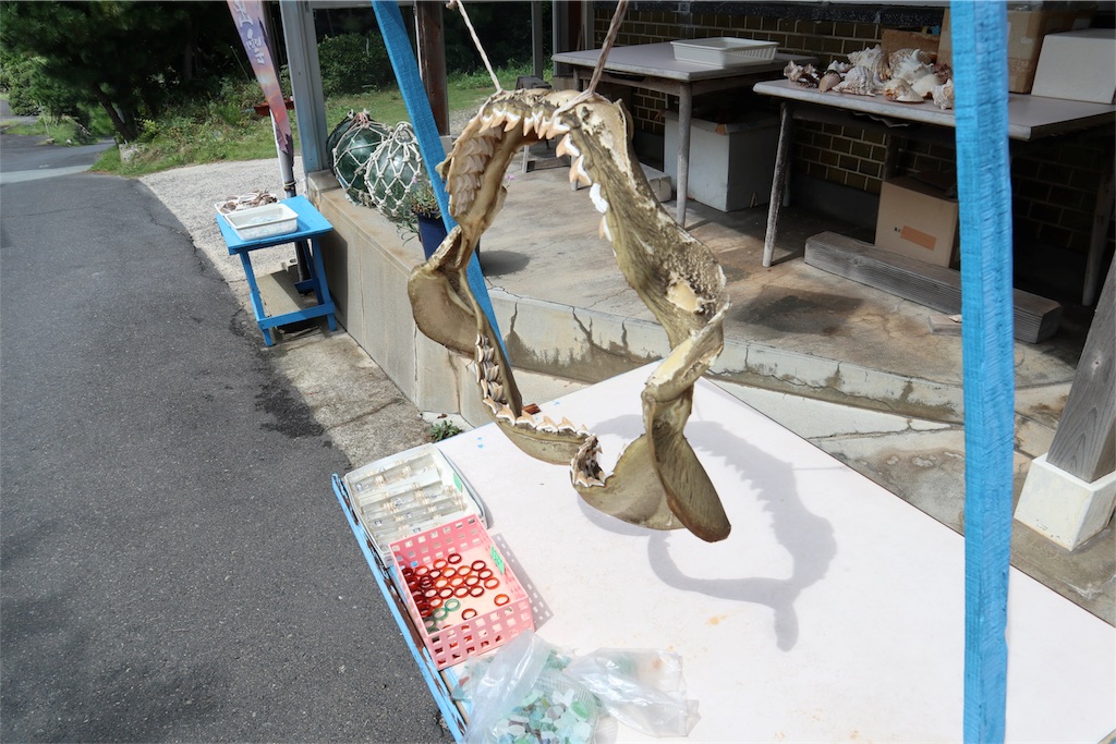 f:id:chanmaripo:20180917230934j:image f:id:chanmaripo:20180917230934j:image