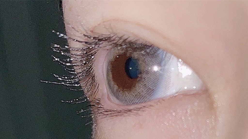 f:id:chanmisa622:20200516194519j:image f:id:chanmisa622:20200516194519j:image