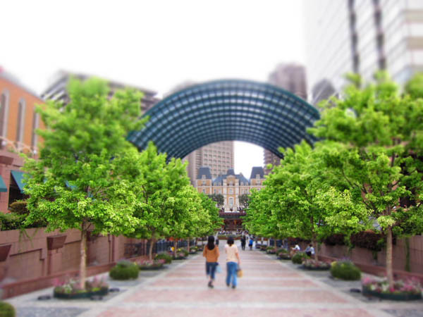 f:id:chanoaji:20110514235921j:image