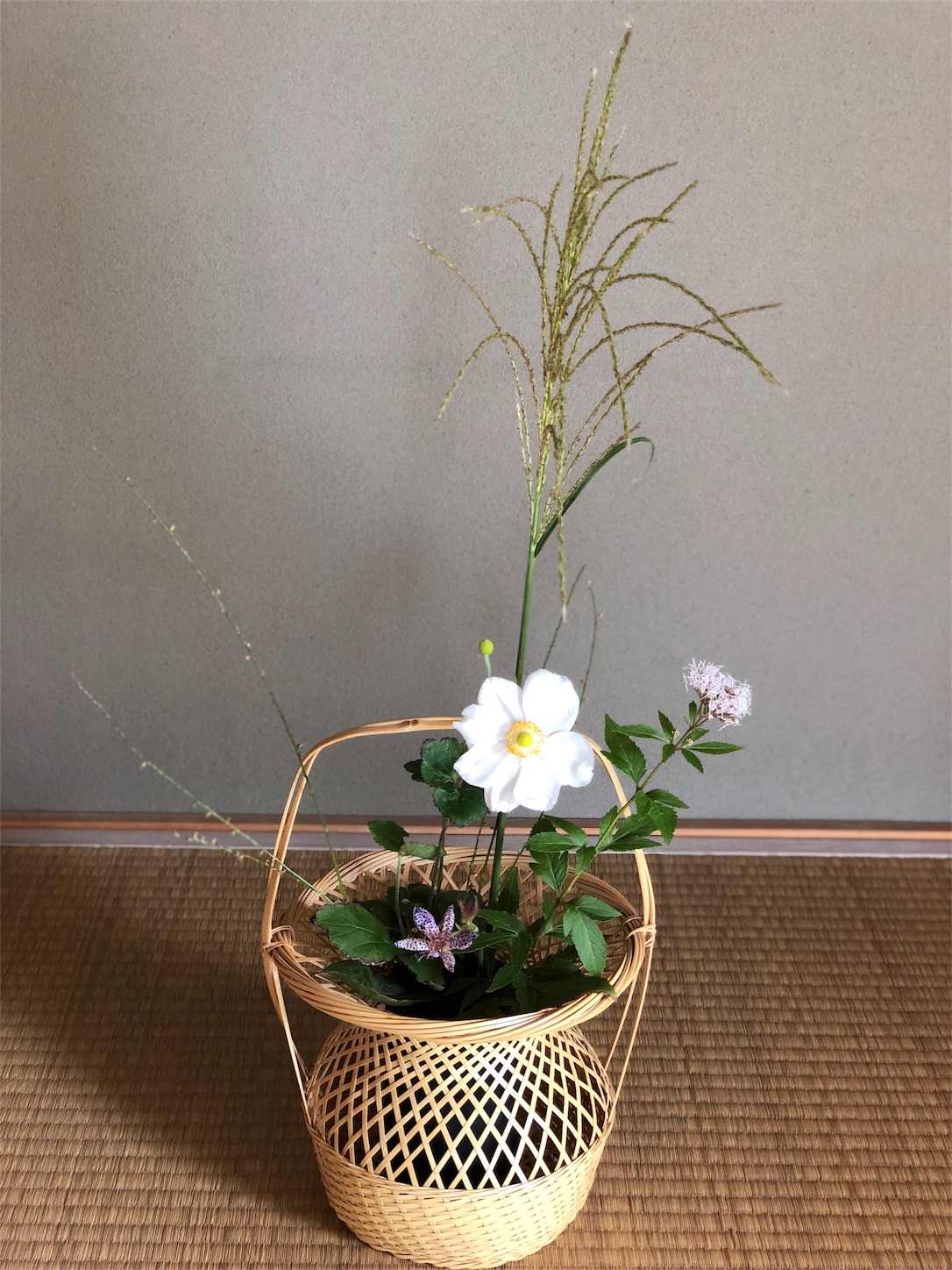 f:id:chanoyu:20181027182943j:image f:id:chanoyu:20181027182943j:image