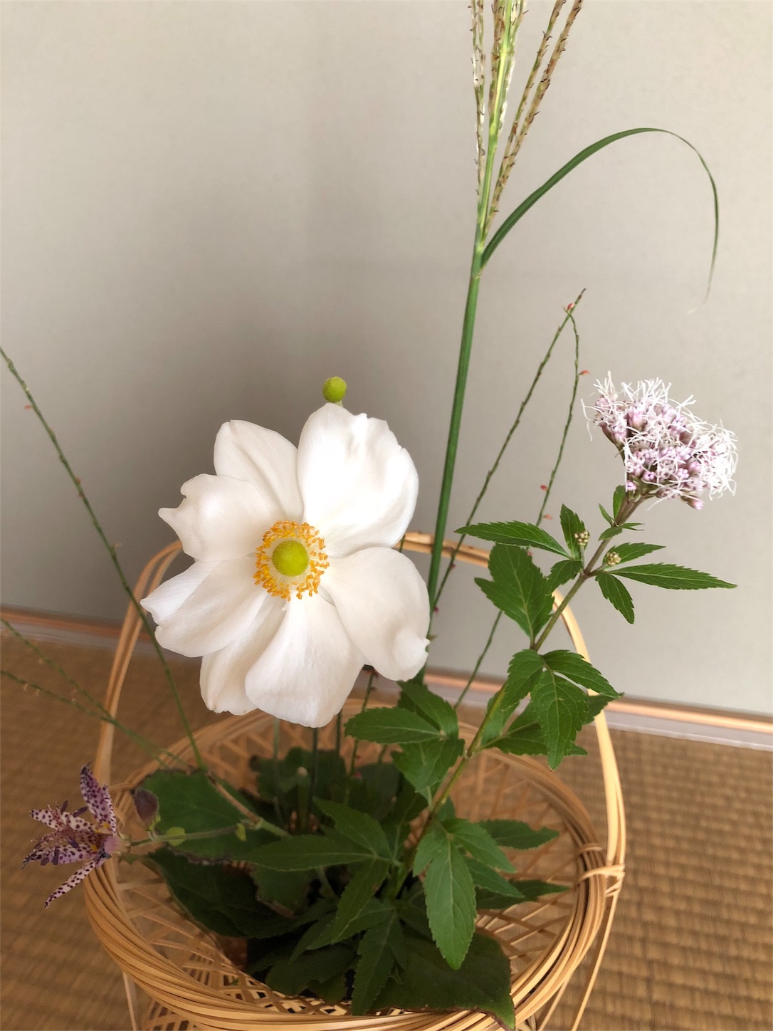 f:id:chanoyu:20181027184921j:image f:id:chanoyu:20181027184921j:image