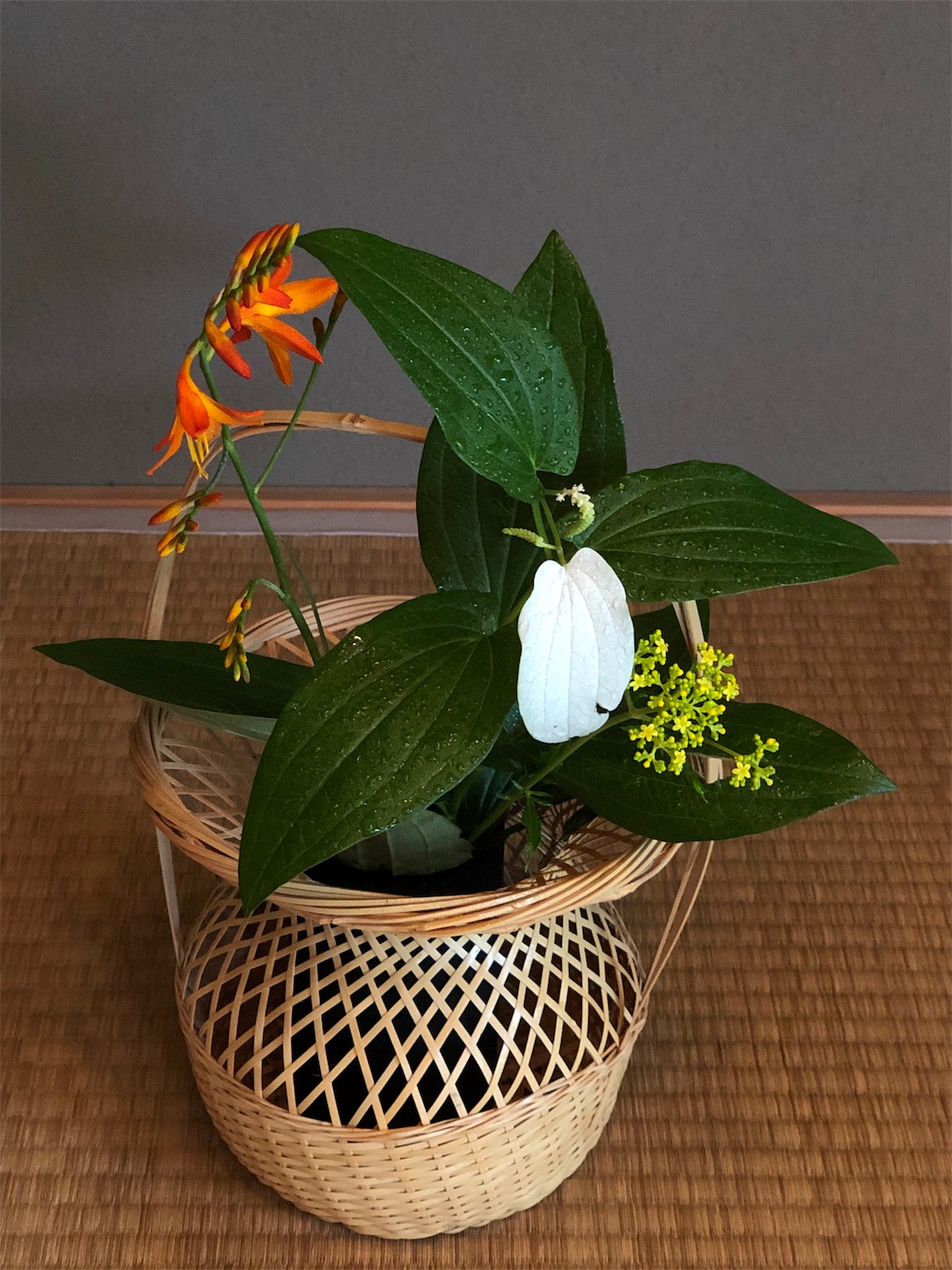 f:id:chanoyu:20190707181120j:image f:id:chanoyu:20190707181120j:image