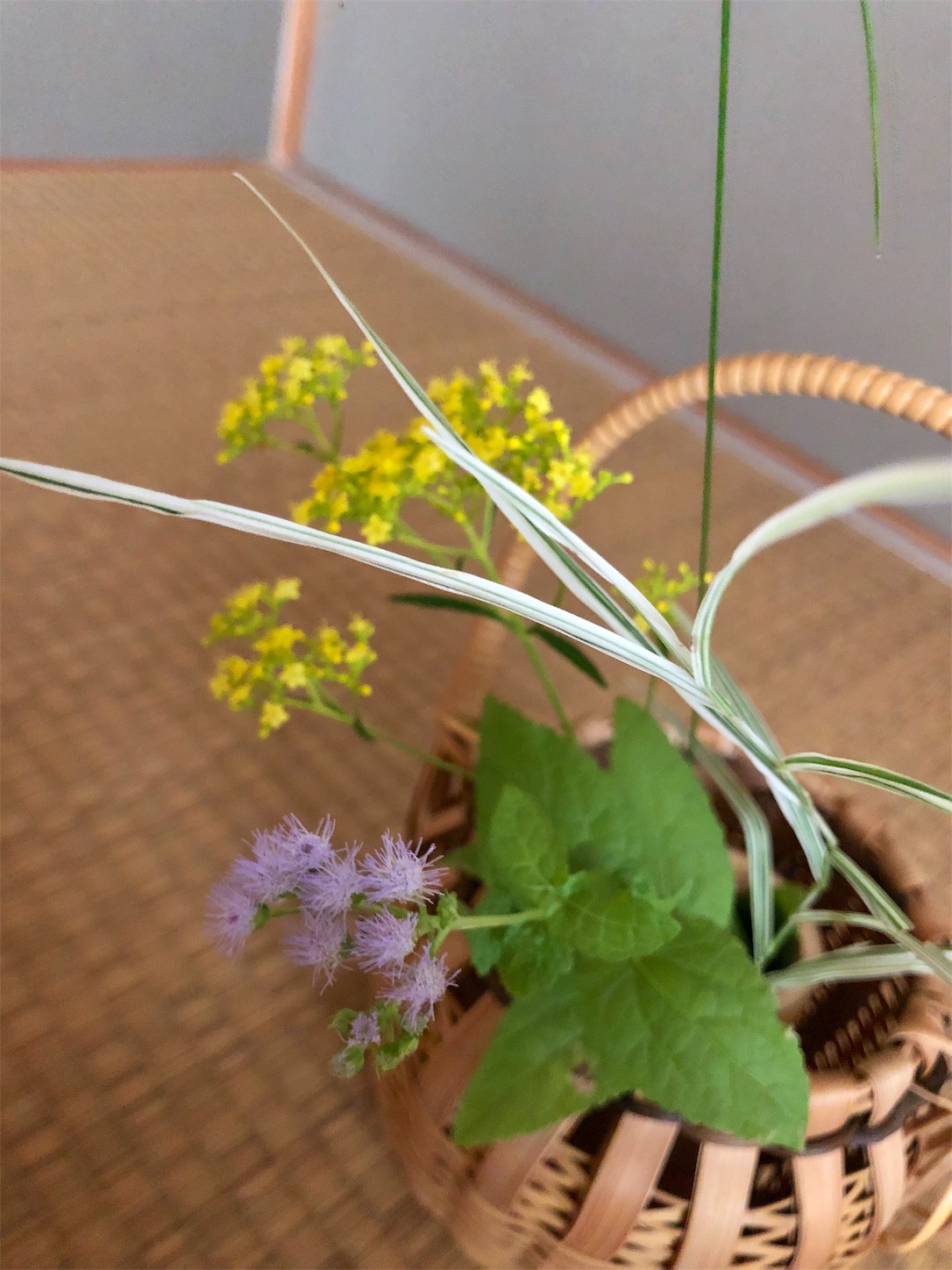 f:id:chanoyu:20190825230655j:image f:id:chanoyu:20190825230655j:image