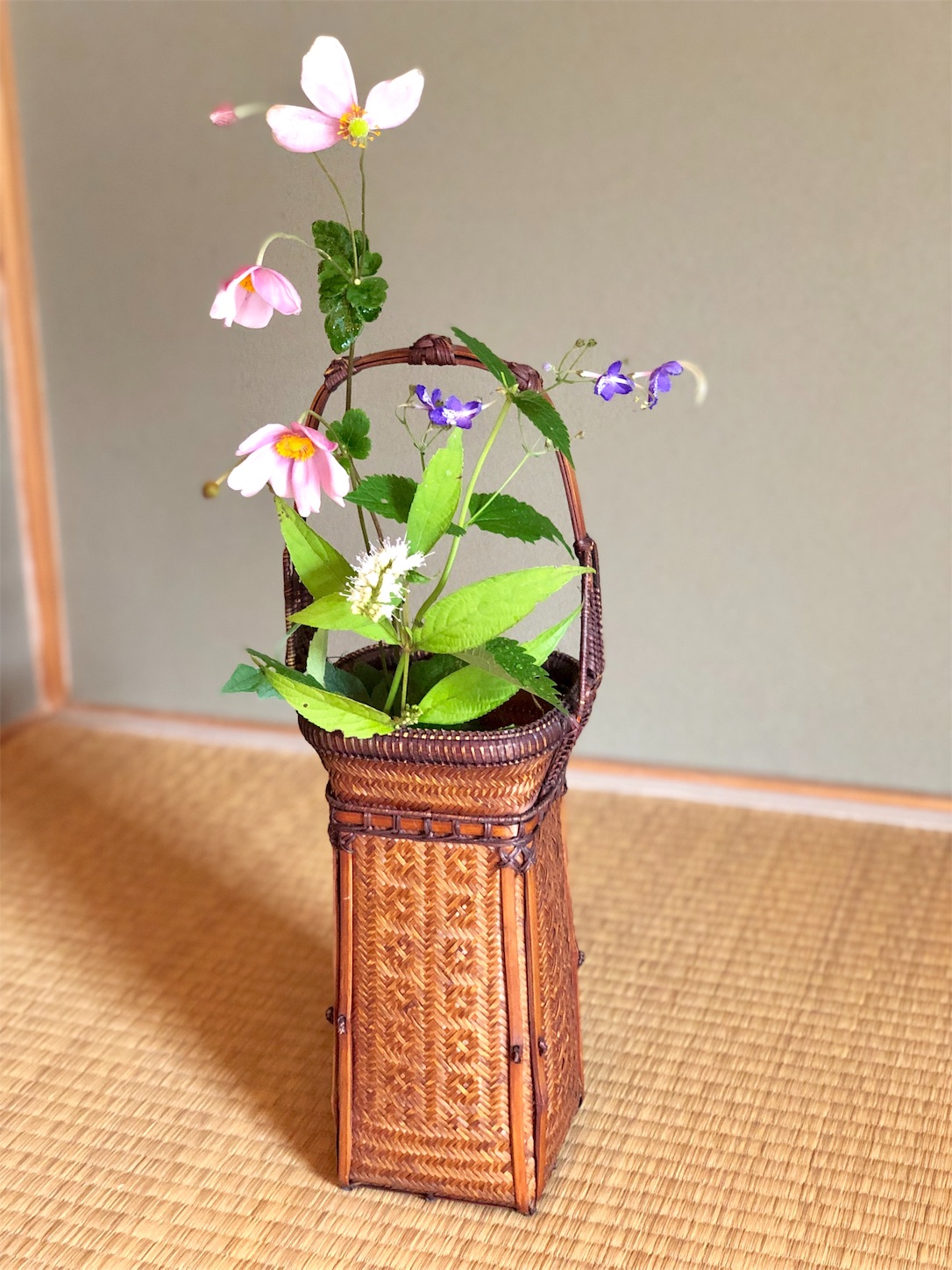 f:id:chanoyu:20191008145730j:image