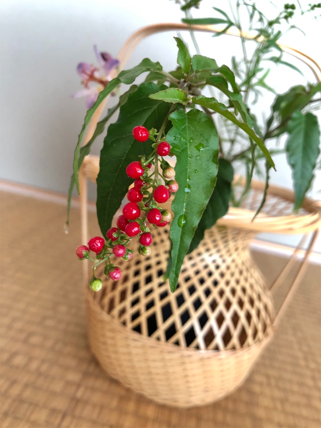 f:id:chanoyu:20191030154951j:image