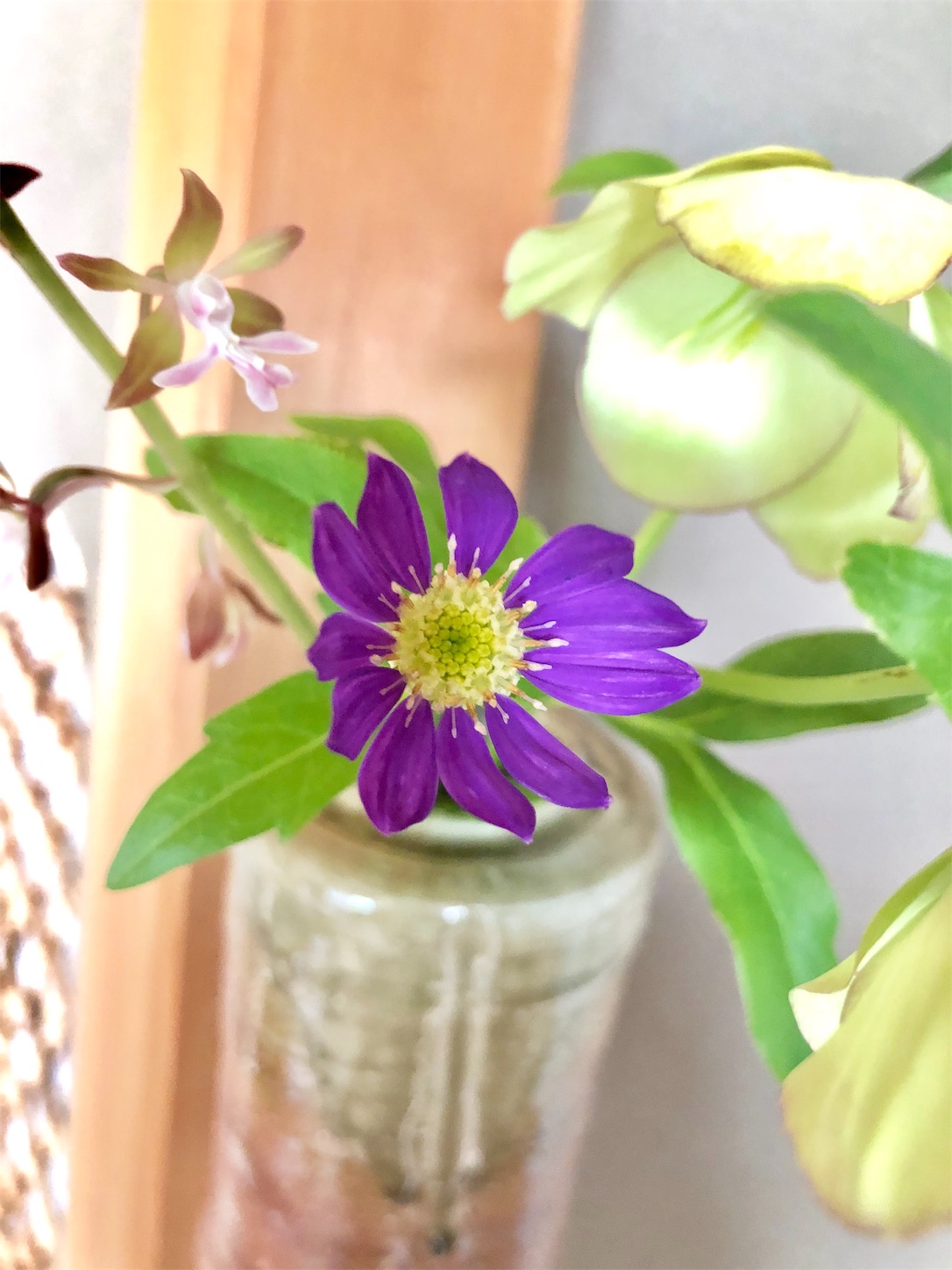 f:id:chanoyu:20200505150954j:image f:id:chanoyu:20200505150954j:image