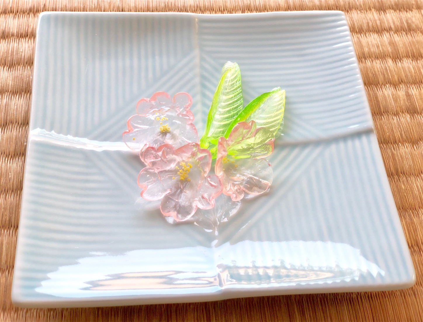 f:id:chanoyu:20200505153539j:image f:id:chanoyu:20200505153539j:image