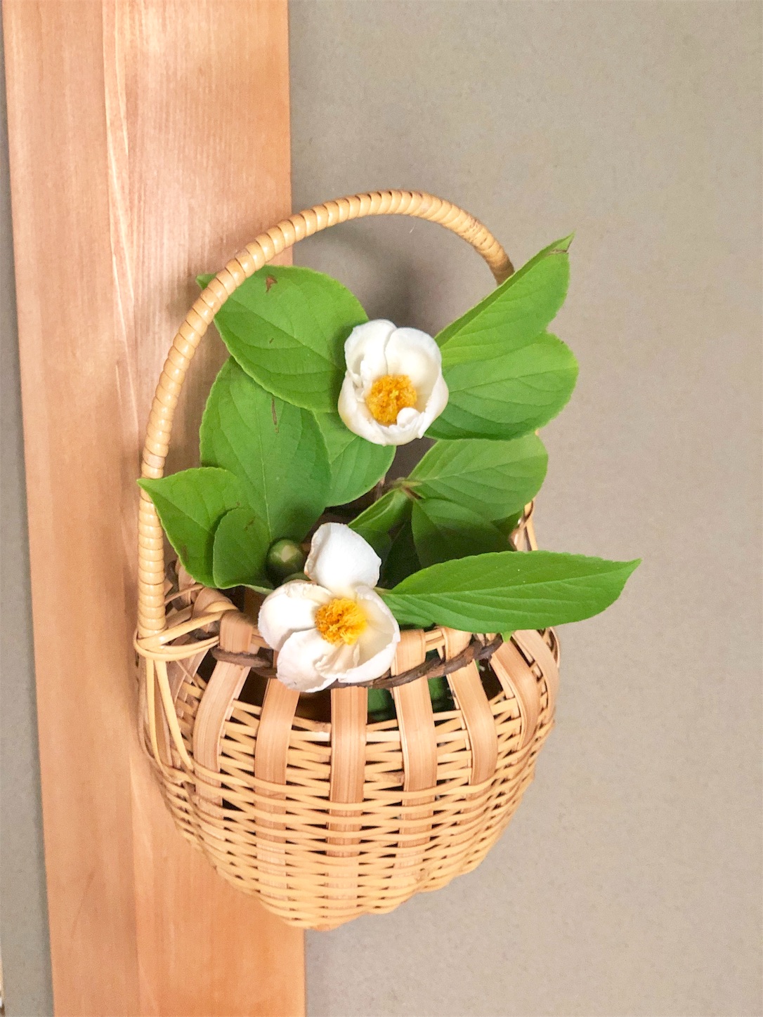 f:id:chanoyu:20200620213651j:image f:id:chanoyu:20200620213651j:image