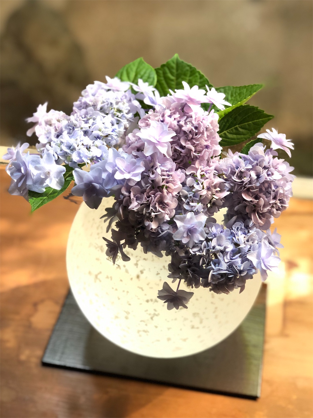 f:id:chanoyu:20200621160623j:image f:id:chanoyu:20200621160623j:image