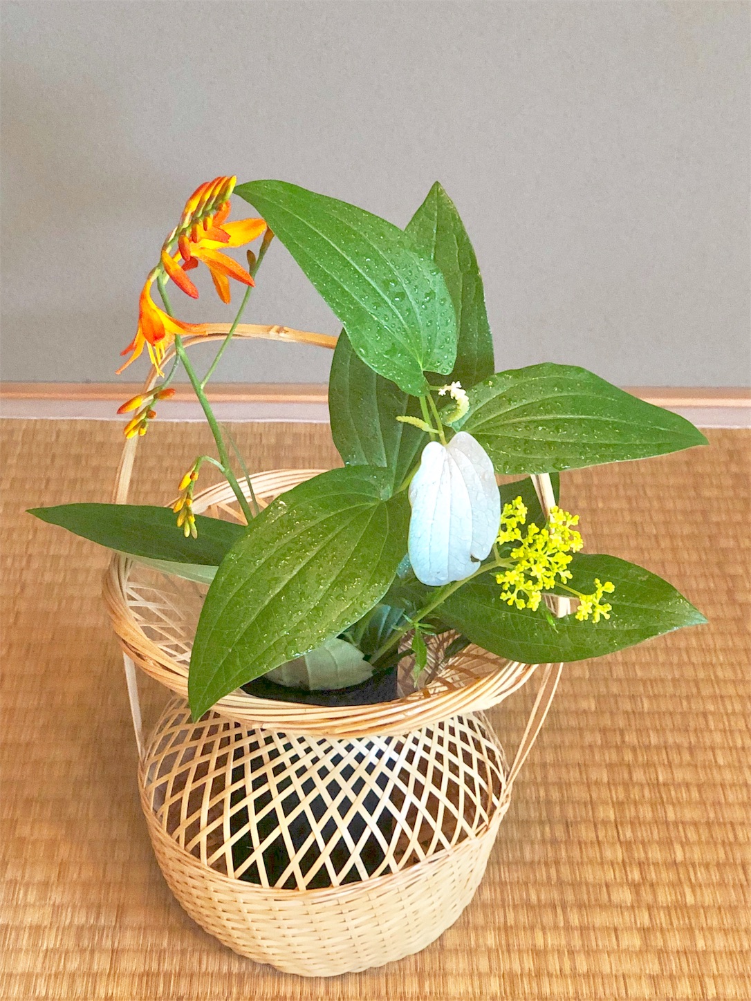 f:id:chanoyu:20200622095939j:image f:id:chanoyu:20200622095939j:image