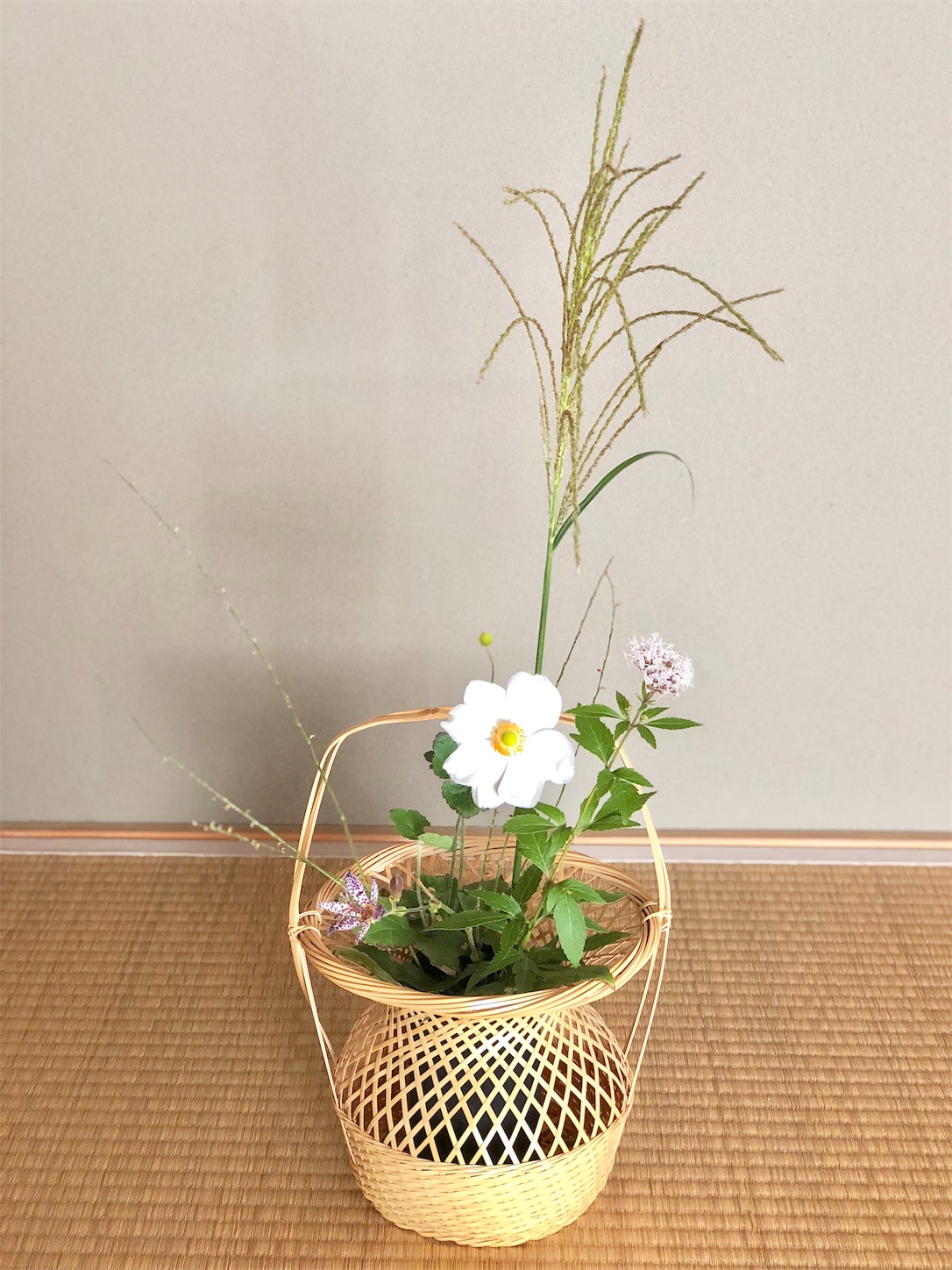 お濃茶のお稽古と茶花 - はなもも茶道日記