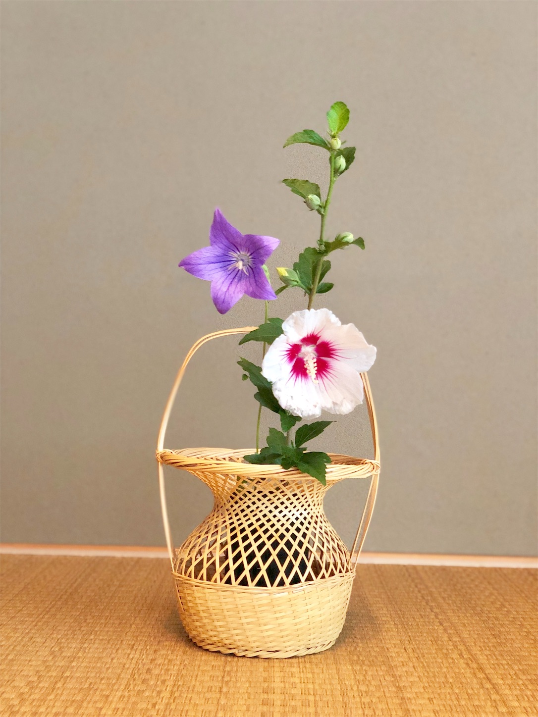 f:id:chanoyu:20200714150223j:image f:id:chanoyu:20200714150223j:image