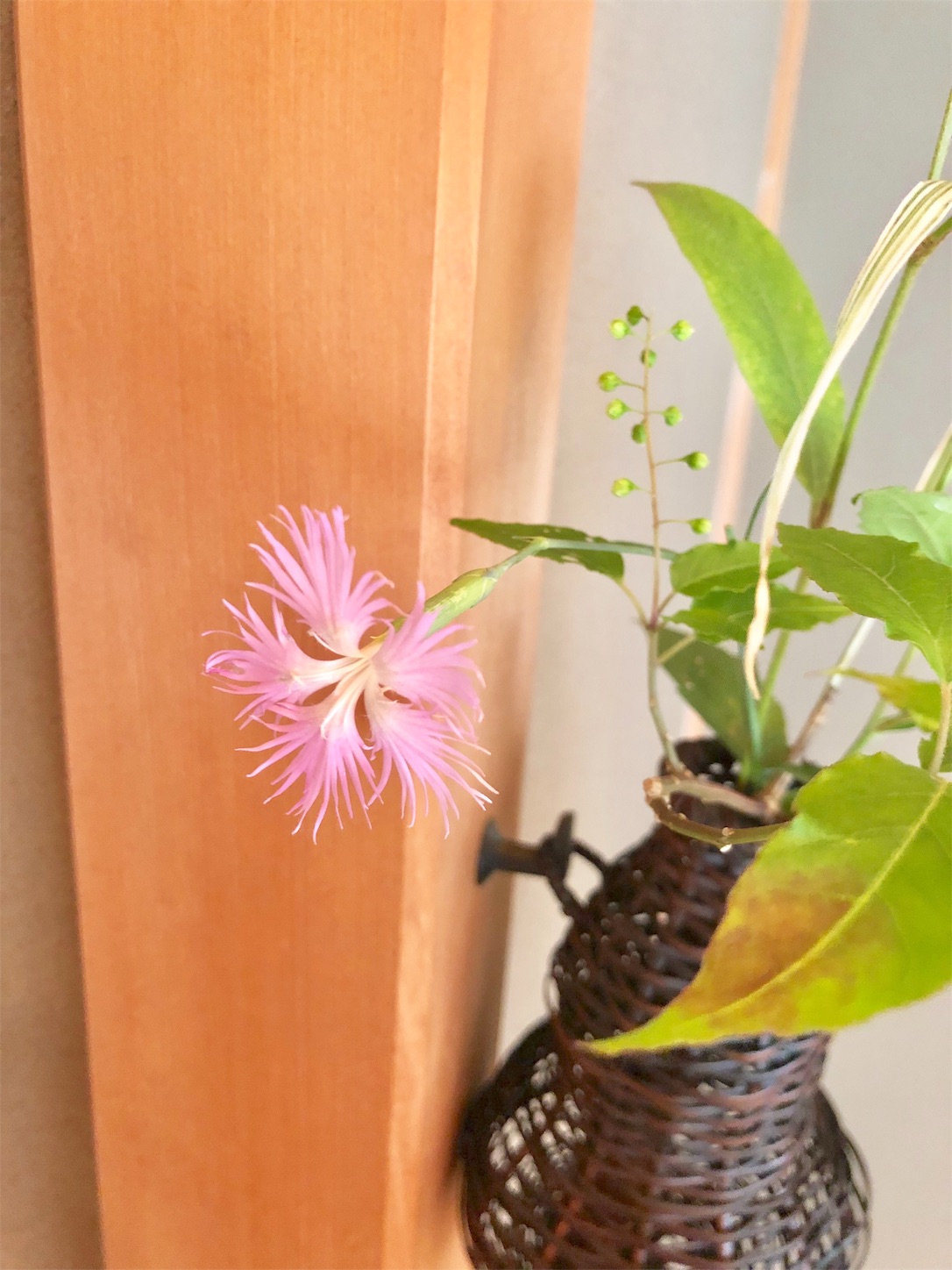 f:id:chanoyu:20200814214203j:image