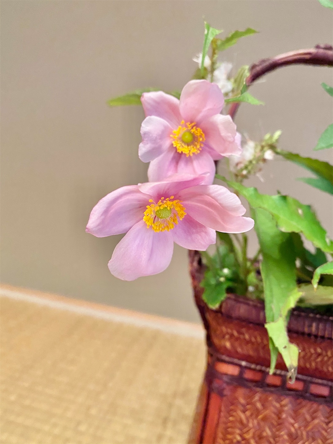f:id:chanoyu:20201019163316j:image f:id:chanoyu:20201019163316j:image