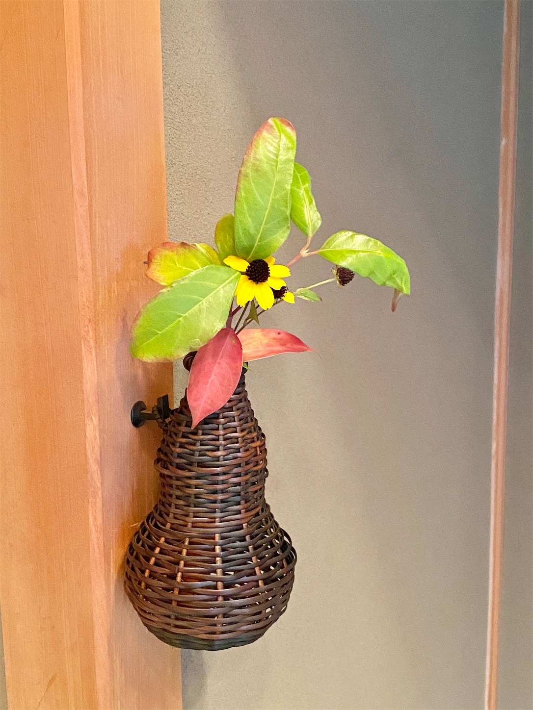 f:id:chanoyu:20201112114437j:image