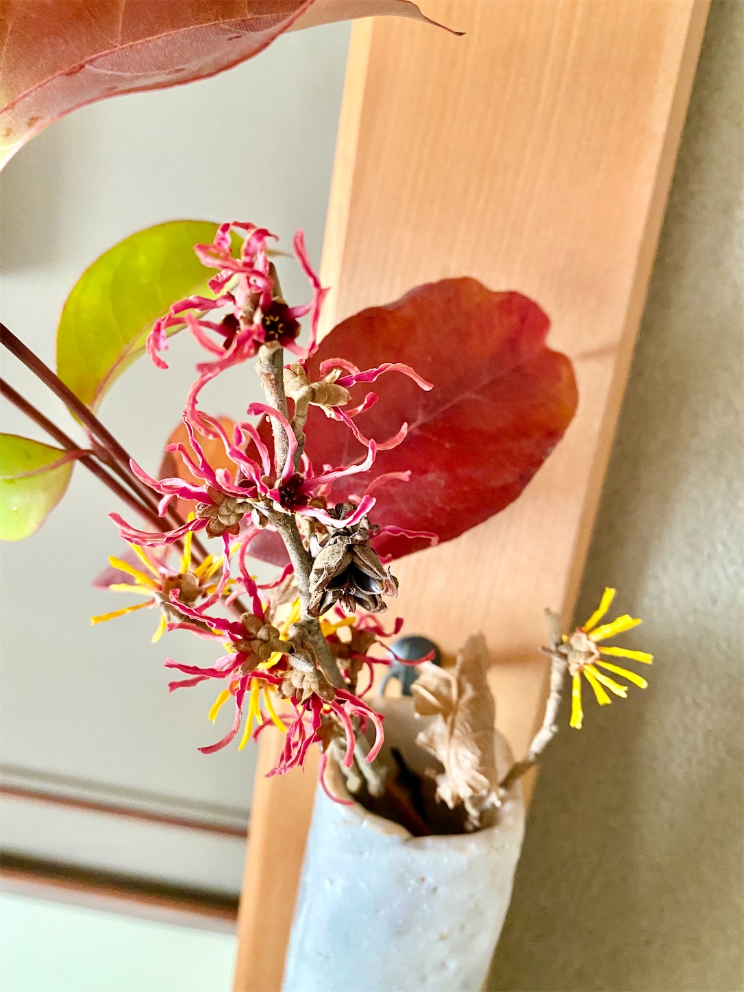 f:id:chanoyu:20210218221855j:image f:id:chanoyu:20210218221855j:image