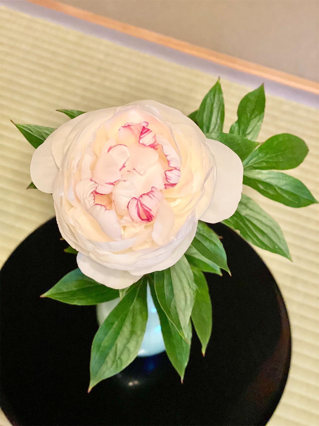 f:id:chanoyu:20210510090757j:image f:id:chanoyu:20210510090757j:image